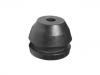 Engine Mount:81.96020.0340