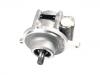 Bomba hidráulica, dirección Power Steering Pump:21494175
