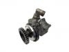 Power Steering Pump:74 21 705 604