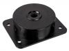 Engine Mount:20502976